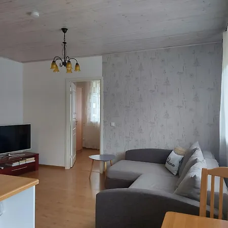 Apartment Torni *